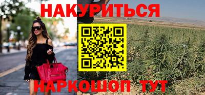дмт Новокубанск