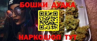 дмт Новокубанск