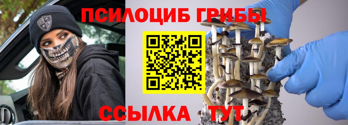 Тобольск  Галлюциногенные грибы GOLDEN TEACHER  Вход с VPN 